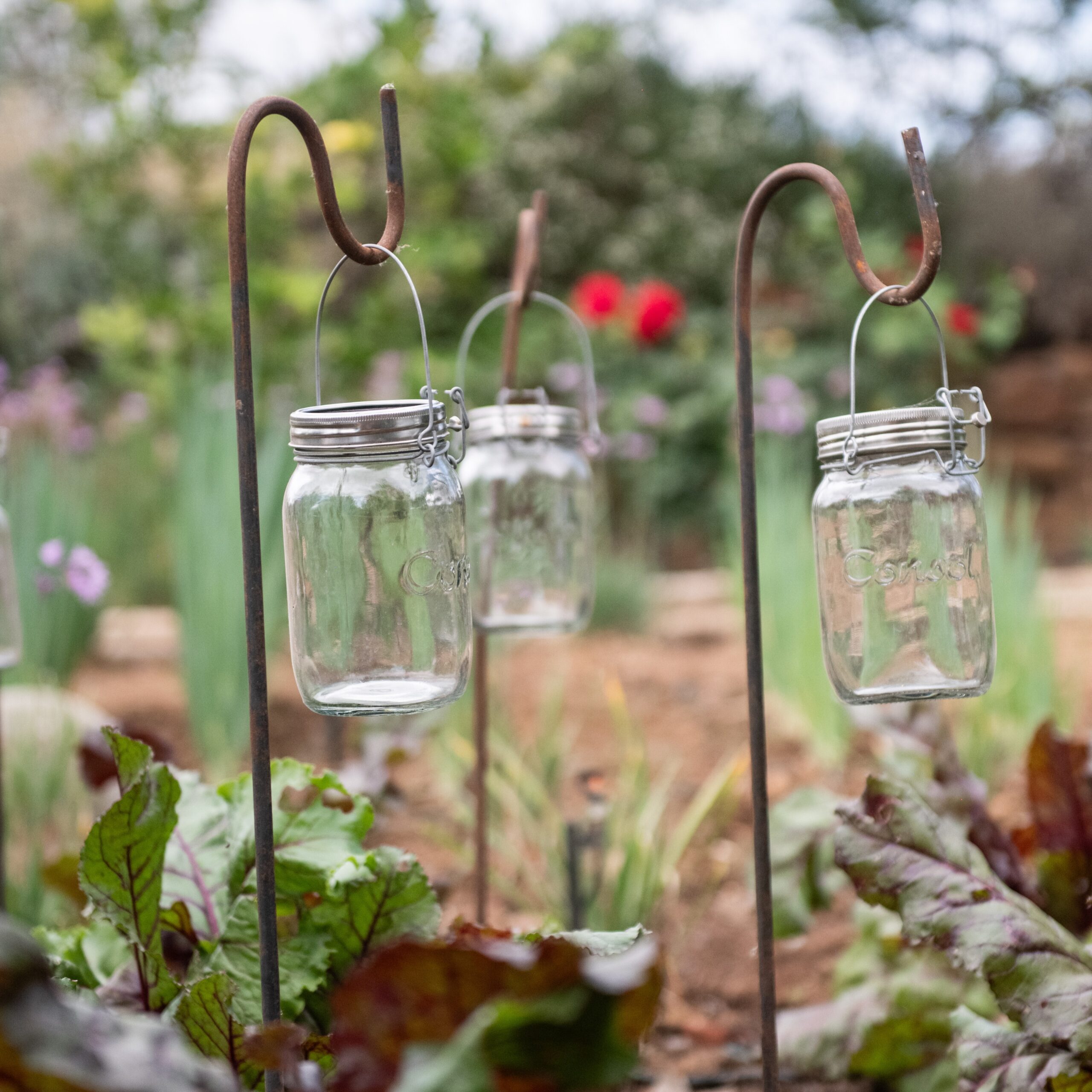 _JOM6965 Lantern Uprights - Image 1